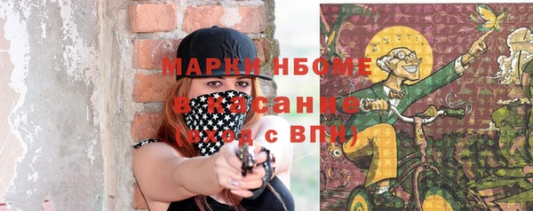 стаф Алзамай