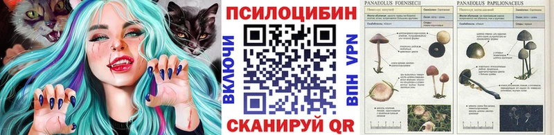 blacksprut tor  Оханск  Галлюциногенные грибы прущие грибы 